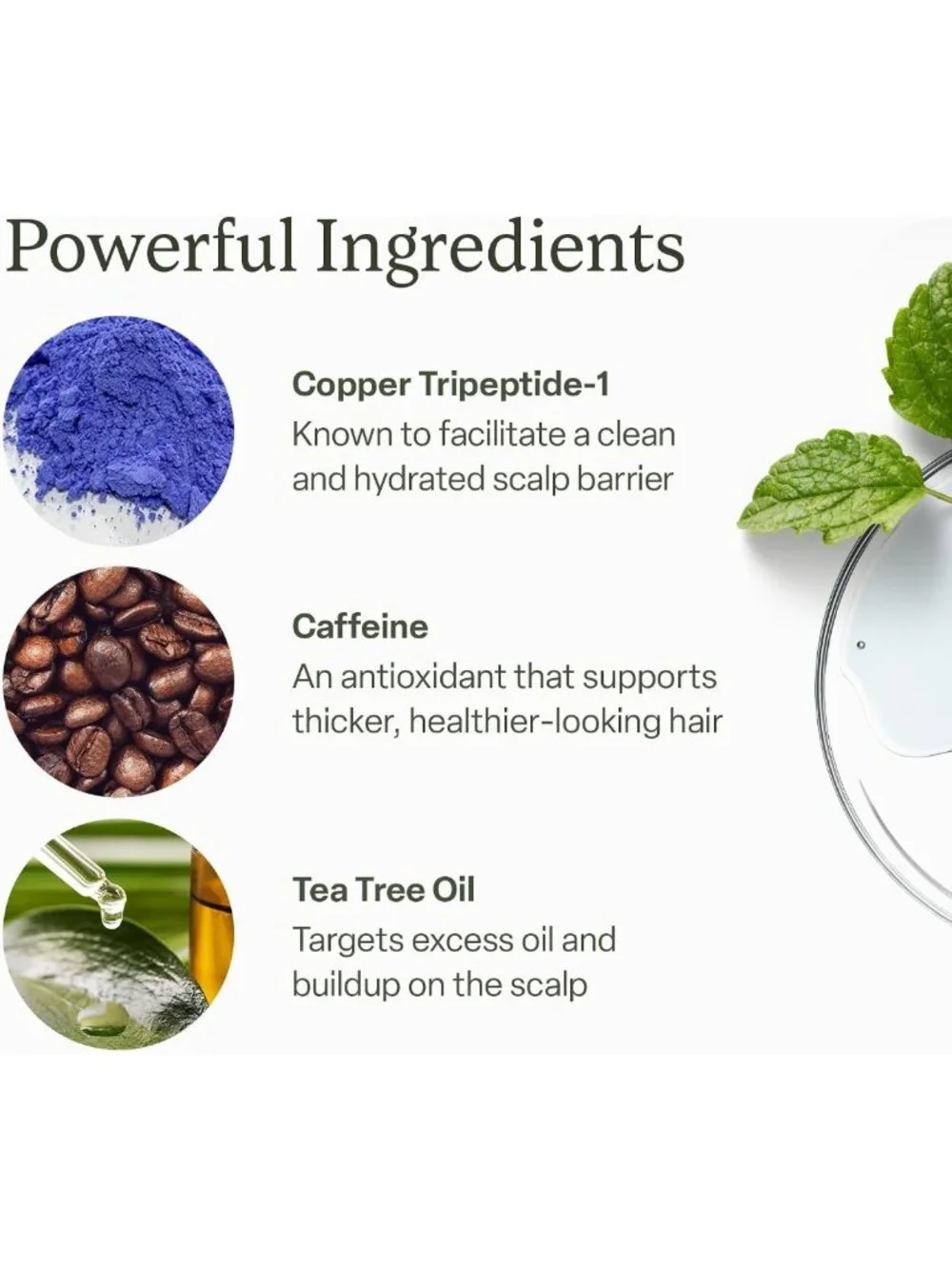 Revitalize Hair with Peptide Scalp Serum | Promotes Fuller-Looking Locks | 30ml